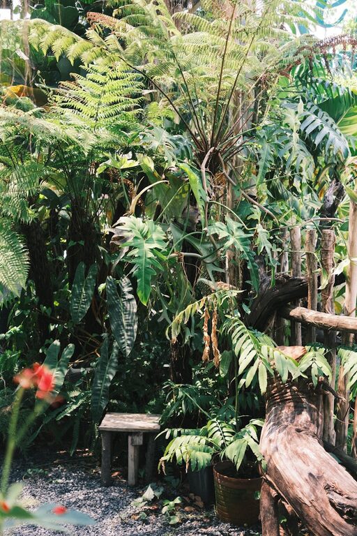 Top Tips for Creating a Relaxing Home Garden Space